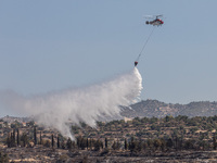 A helicopter of the Jordanian Fire Department throws water over the burnt area, Alassa, Cyprus, on Aug. 5, 2023. Jordan helps with two helic...