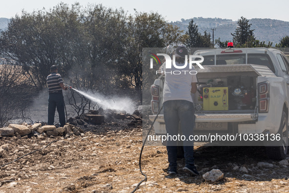 Limassol Municipality workers throw water at a smoking tree, Alassa, Cyprus, on Aug. 5, 2023. Fire Department and Forest Department units, p...