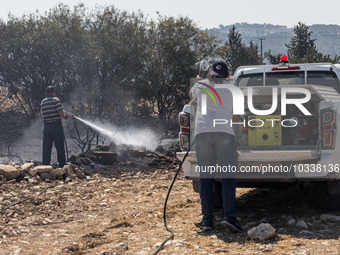 Limassol Municipality workers throw water at a smoking tree, Alassa, Cyprus, on Aug. 5, 2023. Fire Department and Forest Department units, p...