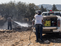 Limassol Municipality workers throw water at a smoking tree, Alassa, Cyprus, on Aug. 5, 2023. Fire Department and Forest Department units, p...