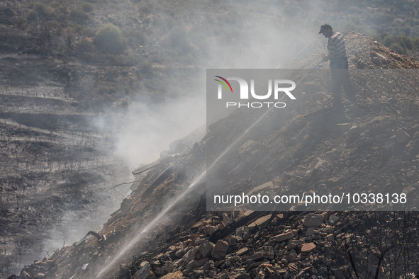 A Limassol Municipality worker throws water over a smoking area, Alassa, Cyprus, on Aug. 5, 2023. Fire Department and Forest Department unit...