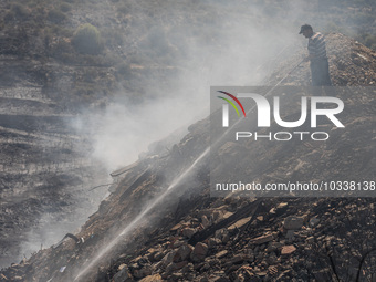 A Limassol Municipality worker throws water over a smoking area, Alassa, Cyprus, on Aug. 5, 2023. Fire Department and Forest Department unit...