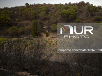 The Fire Department of the Generalitat declared the fire in the municipalities of Colera and Portbou, in the region of Alt Emporda (Girona,...