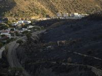 The Fire Department of the Generalitat declared the fire in the municipalities of Colera and Portbou, in the region of Alt Emporda (Girona,...