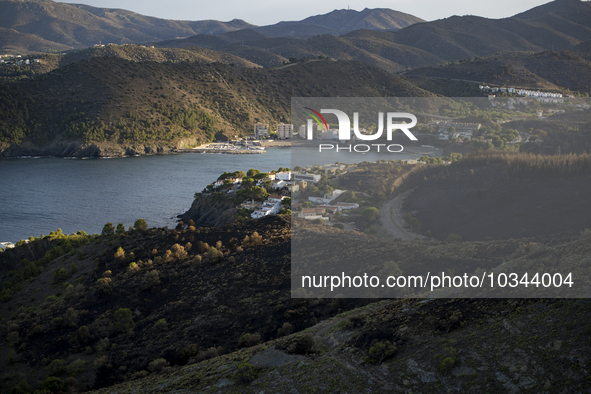 The Fire Department of the Generalitat declared the fire in the municipalities of Colera and Portbou, in the region of Alt Emporda (Girona,...