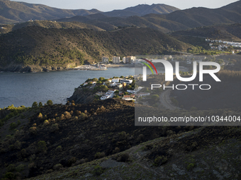 The Fire Department of the Generalitat declared the fire in the municipalities of Colera and Portbou, in the region of Alt Emporda (Girona,...