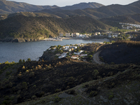 The Fire Department of the Generalitat declared the fire in the municipalities of Colera and Portbou, in the region of Alt Emporda (Girona,...