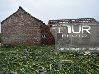 A general view of the disaster site where houses collapsed after a tornado in Dafeng district, Yancheng City, Jiangsu province, China, Augus...