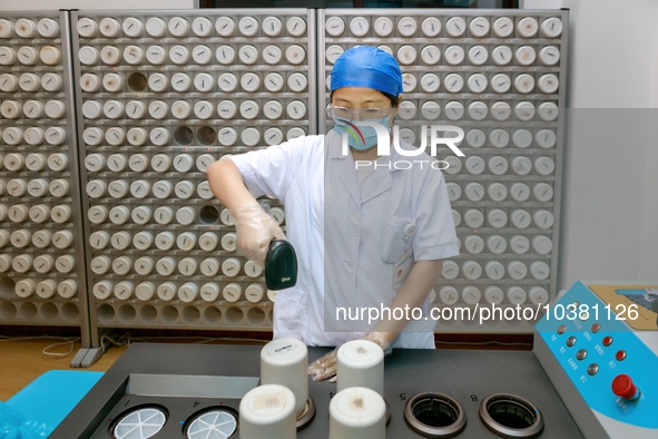 TENGZHOU, CHINA - AUGUST 17, 2023 - Traditional Chinese medicine practitioner Wang Ting dispenses traditional Chinese medicine granules in T...