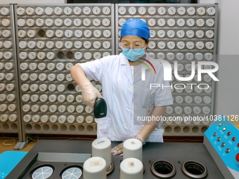 TENGZHOU, CHINA - AUGUST 17, 2023 - Traditional Chinese medicine practitioner Wang Ting dispenses traditional Chinese medicine granules in T...