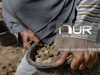 A woman carries a bucket of sand and stone as she helps villagers to renovate a broken village road at Kebumen, Central Java, Indonesia on A...