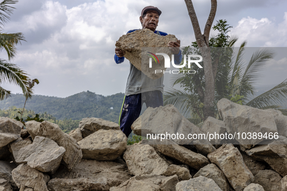 A man throws a big stone as he helps villagers to renovate a broken village road at Kebumen, Central Java, Indonesia on August 20, 2023.  