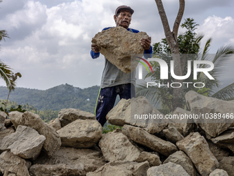 A man throws a big stone as he helps villagers to renovate a broken village road at Kebumen, Central Java, Indonesia on August 20, 2023.  (