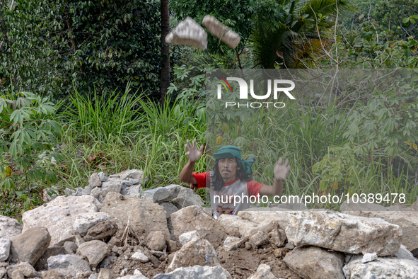 A man throws a big stone as he helps villagers to renovate a broken village road at Kebumen, Central Java, Indonesia on August 20, 2023.  