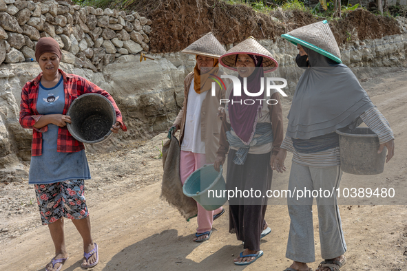 Women walks in a broken road as they help villagers to renovate a broken village road at Kebumen, Central Java, Indonesia on August 20, 2023...