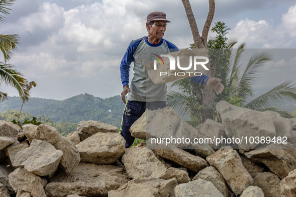 A man throws a big stone as he helps villagers to renovate a broken village road at Kebumen, Central Java, Indonesia on August 20, 2023.  