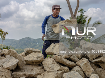 A man throws a big stone as he helps villagers to renovate a broken village road at Kebumen, Central Java, Indonesia on August 20, 2023.  (