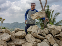 A man throws a big stone as he helps villagers to renovate a broken village road at Kebumen, Central Java, Indonesia on August 20, 2023.  (