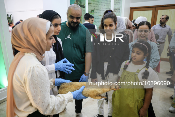 Palestinian students take part in a festival of the Science Days Palestine, at al Qattan Center in Gaza city on August 21, 2023. 
 