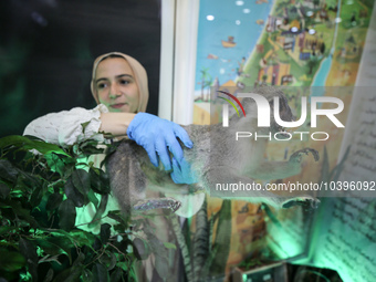 Palestinian students take part in a festival of the Science Days Palestine, at al Qattan Center in Gaza city on August 21, 2023. 
 (