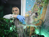 Palestinian students take part in a festival of the Science Days Palestine, at al Qattan Center in Gaza city on August 21, 2023. 
 (