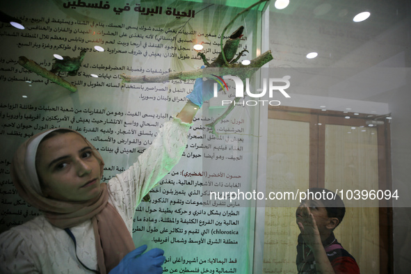 Palestinian students take part in a festival of the Science Days Palestine, at al Qattan Center in Gaza city on August 21, 2023. 
 