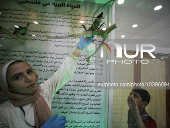 Palestinian students take part in a festival of the Science Days Palestine, at al Qattan Center in Gaza city on August 21, 2023. 
 (