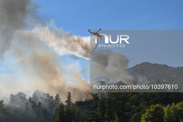 A firefighting helicopter operates near Prodromos village in Boeotia 100km north of Athens, Greece as a wildfire rages causing extensive dam...