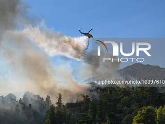 A firefighting helicopter operates near Prodromos village in Boeotia 100km north of Athens, Greece as a wildfire rages causing extensive dam...