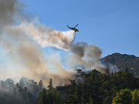 A firefighting helicopter operates near Prodromos village in Boeotia 100km north of Athens, Greece as a wildfire rages causing extensive dam...