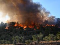 A wildfire rages near Prodromos village in Boeotia 100km north of Athens, Greece causing extensive damages to property and the forest in Eli...