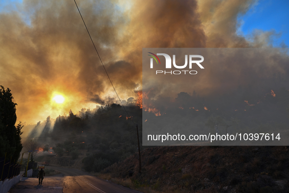 A wildfire rages near Prodromos village in Boeotia 100km north of Athens, Greece causing extensive damages to property and the forest in Eli...