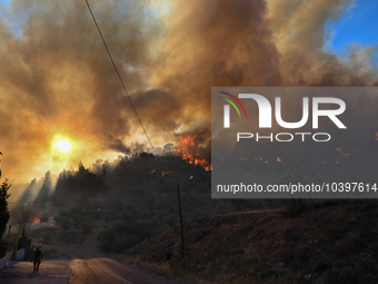 A wildfire rages near Prodromos village in Boeotia 100km north of Athens, Greece causing extensive damages to property and the forest in Eli...