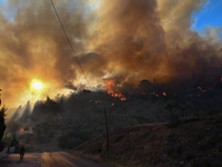 A wildfire rages near Prodromos village in Boeotia 100km north of Athens, Greece causing extensive damages to property and the forest in Eli...