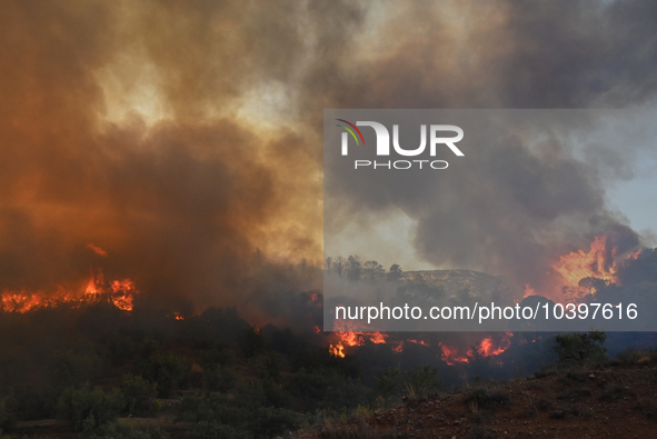 A wildfire rages near Prodromos village in Boeotia 100km north of Athens, Greece causing extensive damages to property and the forest in Eli...