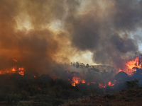 A wildfire rages near Prodromos village in Boeotia 100km north of Athens, Greece causing extensive damages to property and the forest in Eli...