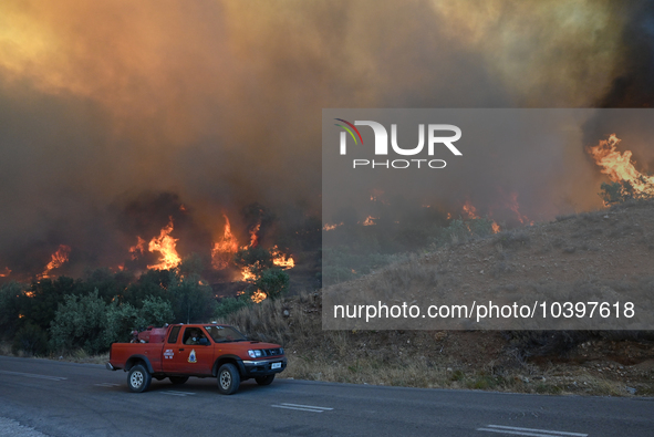 A wildfire rages near Prodromos village in Boeotia 100km north of Athens, Greece causing extensive damages to property and the forest in Eli...