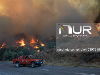 A wildfire rages near Prodromos village in Boeotia 100km north of Athens, Greece causing extensive damages to property and the forest in Eli...