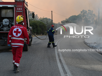 Firefighters operate near Prodromos village in Boeotia 100km north of Athens, Greece as a wildfire rages causing extensive damages to proper...