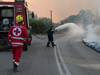 Firefighters operate near Prodromos village in Boeotia 100km north of Athens, Greece as a wildfire rages causing extensive damages to proper...