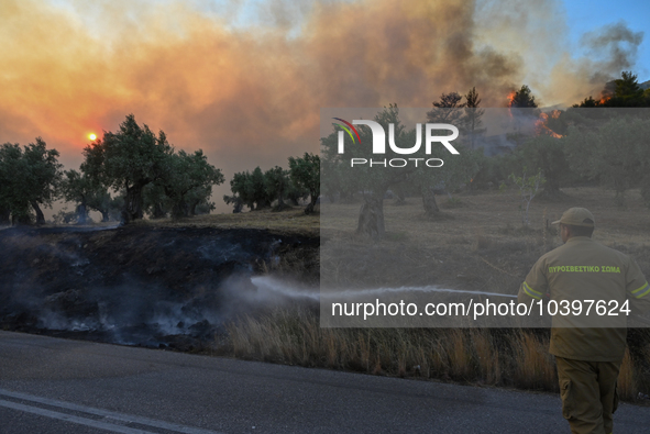 A firefighter operates near Prodromos village in Boeotia 100km north of Athens, Greece as a wildfire rages causing extensive damages to prop...