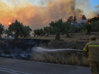 A firefighter operates near Prodromos village in Boeotia 100km north of Athens, Greece as a wildfire rages causing extensive damages to prop...