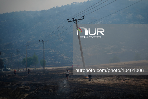 Residents try to put out a fire from a power pole during the Mount Parnitha fire on 22/8/23 