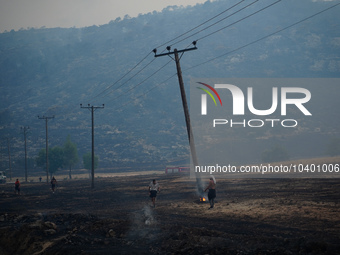 Residents try to put out a fire from a power pole during the Mount Parnitha fire on 22/8/23 (