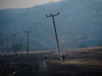 Residents try to put out a fire from a power pole during the Mount Parnitha fire on 22/8/23 (