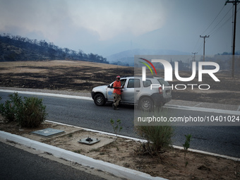 A volunteer forest firefighter stands in his car and the burnt forest can be seen from behind. Mount Parnitha 22/8/23 (