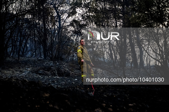 A fireman trying to extinguish the fire at Mountain Parnitha 22/8/23 