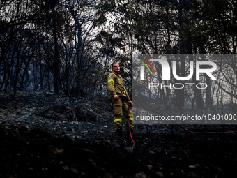 A fireman trying to extinguish the fire at Mountain Parnitha 22/8/23 (