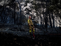 A fireman trying to extinguish the fire at Mountain Parnitha 22/8/23 (