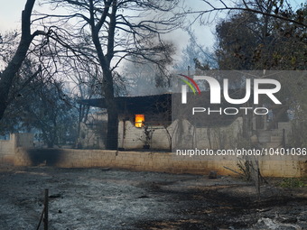 A house is burned  at Mount Parnitha. 22/8/23 (